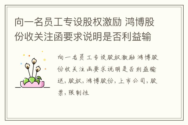 向一名员工专设股权激励 鸿博股份收关注函要求说明是否利益输送