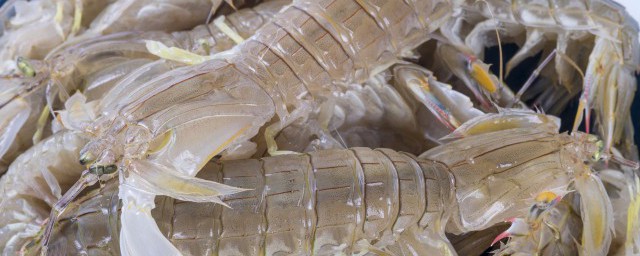 皮皮虾吃什么部位 皮皮虾是吃它什么地方