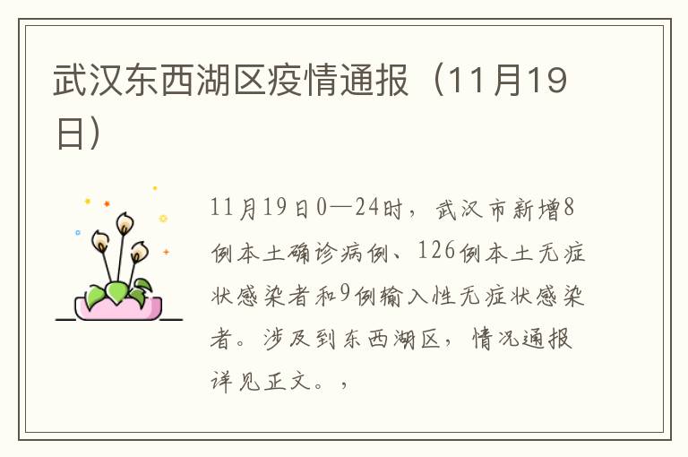 武汉东西湖区疫情通报（11月19日）