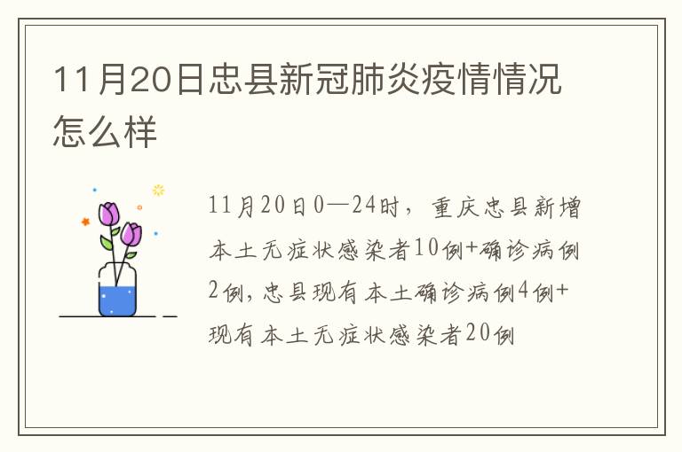 11月20日忠县新冠肺炎疫情情况怎么样