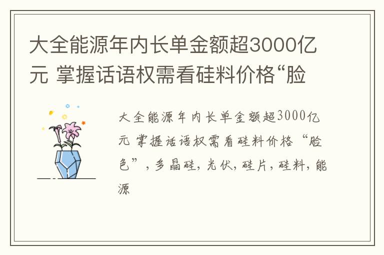 大全能源年内长单金额超3000亿元 掌握话语权需看硅料价格“脸色”