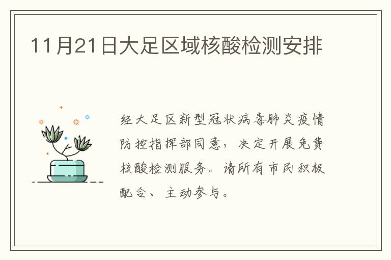 11月21日大足区域核酸检测安排