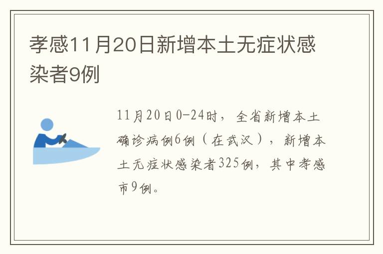 孝感11月20日新增本土无症状感染者9例