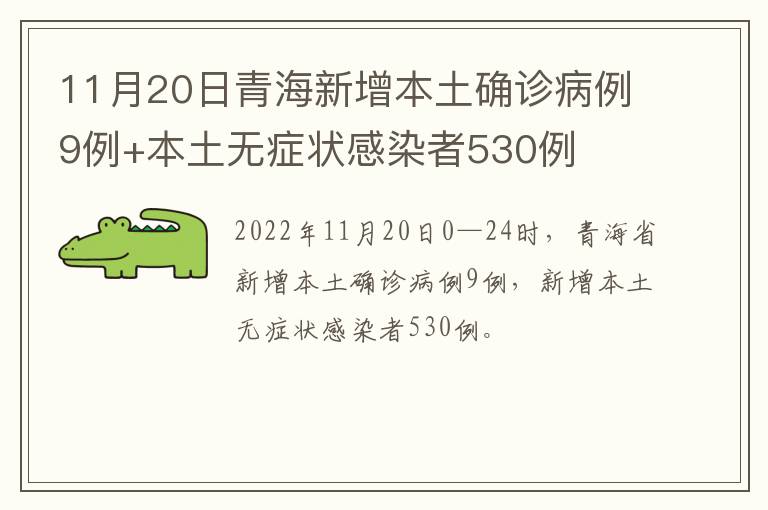 11月20日青海新增本土确诊病例9例+本土无症状感染者530例