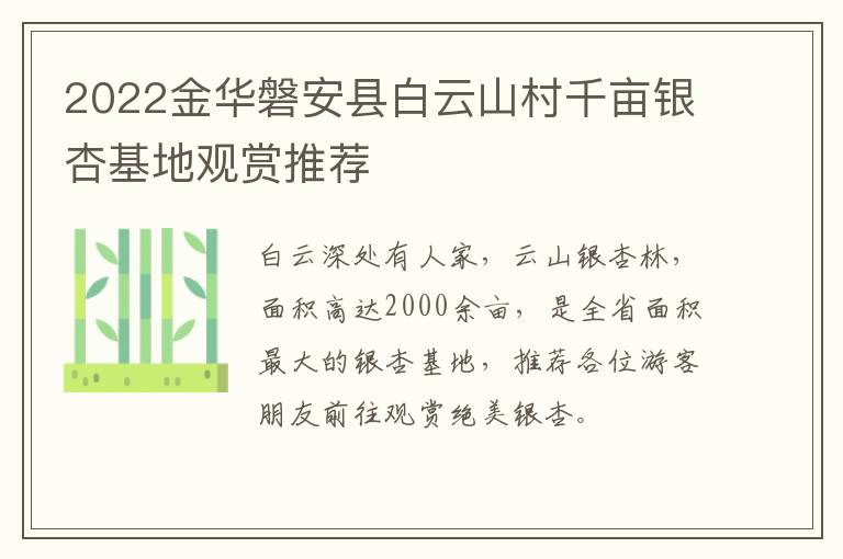 2022金华磐安县白云山村千亩银杏基地观赏推荐