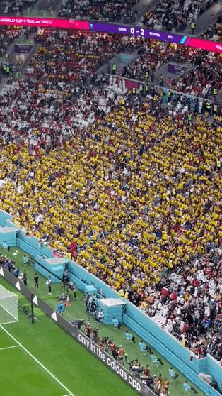 厄瓜多尔球迷看台高喊＂要啤酒＂ 抗议世界杯禁酒令