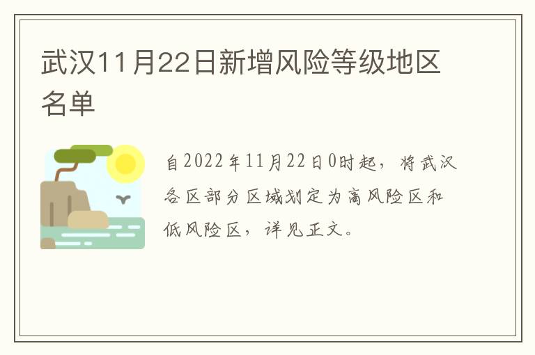 武汉11月22日新增风险等级地区名单