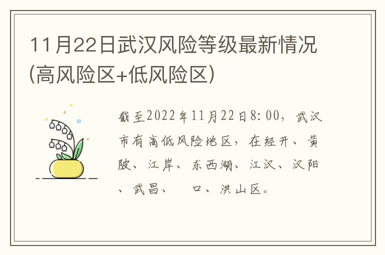 11月22日武汉风险等级最新情况(高风险区+低风险区)
