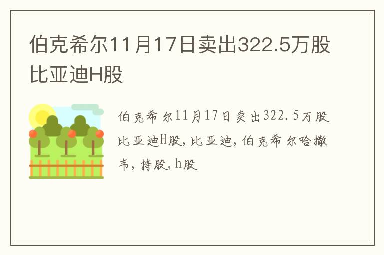 伯克希尔11月17日卖出322.5万股比亚迪H股