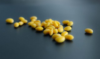 猪脚炖汤配什么食材好 猪脚煲汤放什么材料最营养