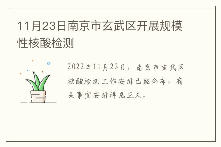 11月23日南京市玄武区开展规模性核酸检测