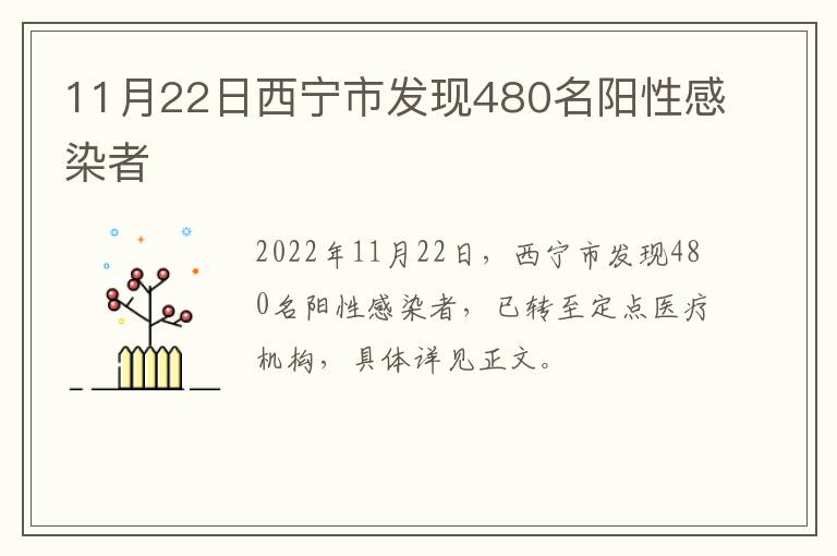 11月22日西宁市发现480名阳性感染者