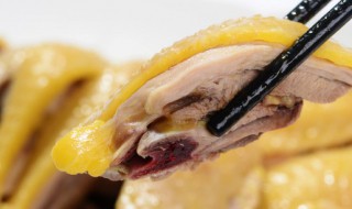 上海三黄鸡蘸料怎么做 白斩鸡的蘸料介绍