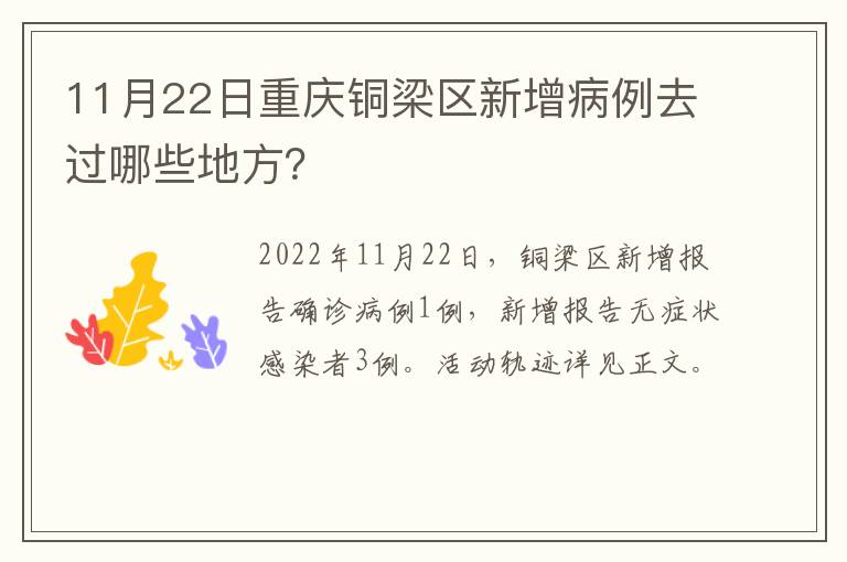 11月22日重庆铜梁区新增病例去过哪些地方？