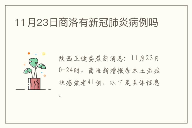 11月23日商洛有新冠肺炎病例吗