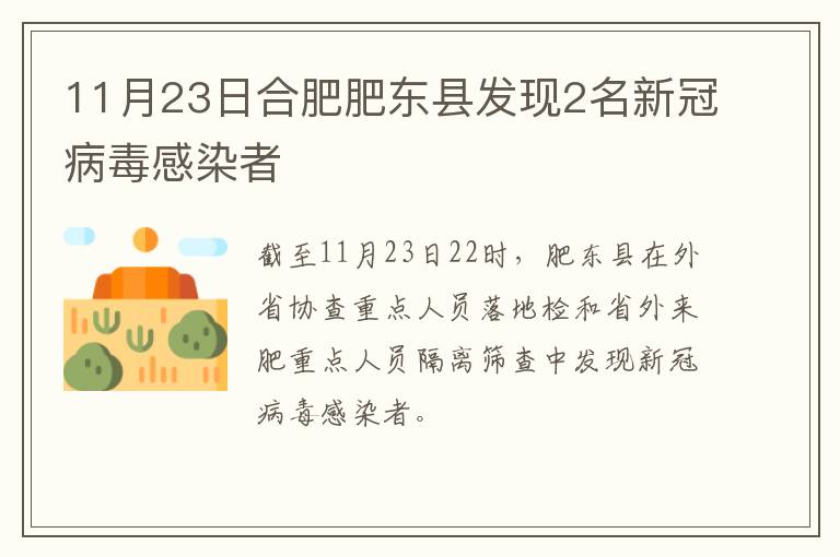 11月23日合肥肥东县发现2名新冠病毒感染者