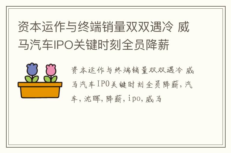 资本运作与终端销量双双遇冷 威马汽车IPO关键时刻全员降薪