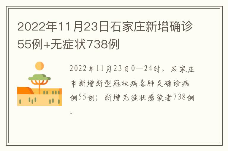 2022年11月23日石家庄新增确诊55例+无症状738例