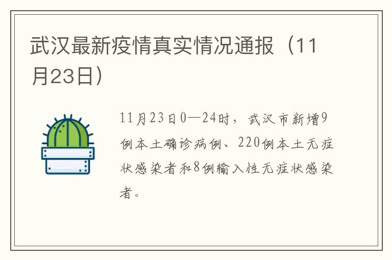 武汉最新疫情真实情况通报（11月23日）