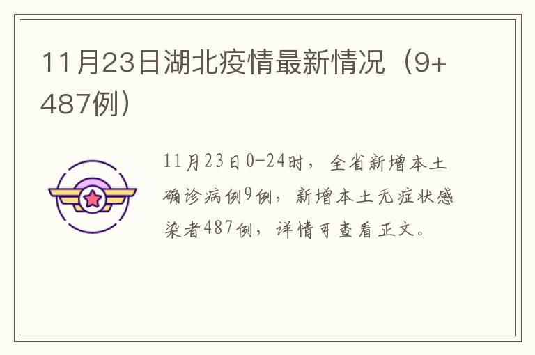 11月23日湖北疫情最新情况（9+487例）