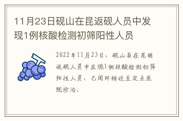 11月23日砚山在昆返砚人员中发现1例核酸检测初筛阳性人员