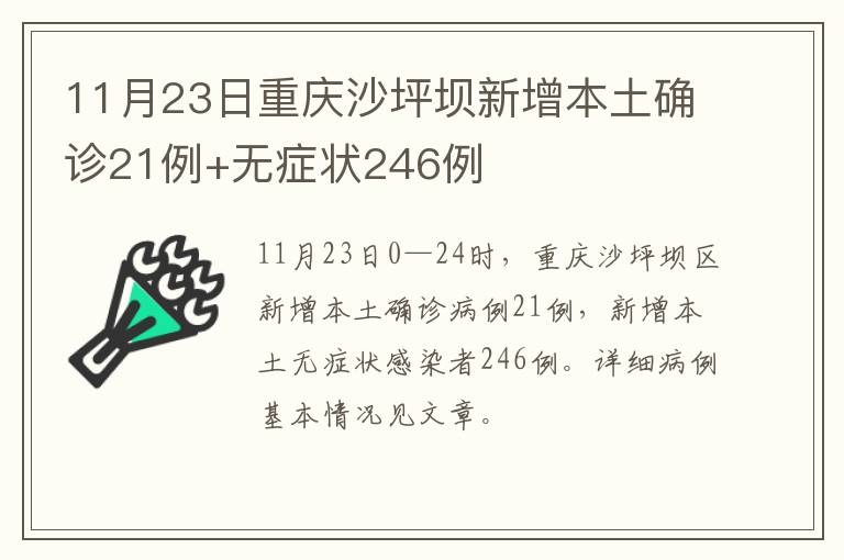 11月23日重庆沙坪坝新增本土确诊21例+无症状246例