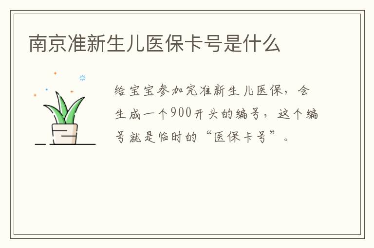 南京准新生儿医保卡号是什么