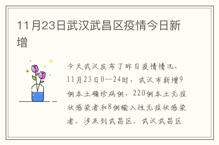 11月23日武汉武昌区疫情今日新增