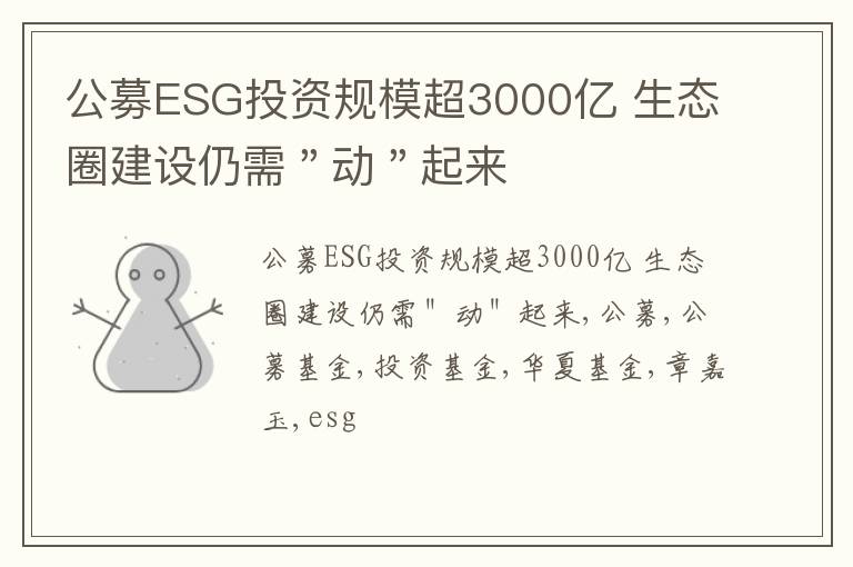 公募ESG投资规模超3000亿 生态圈建设仍需＂动＂起来