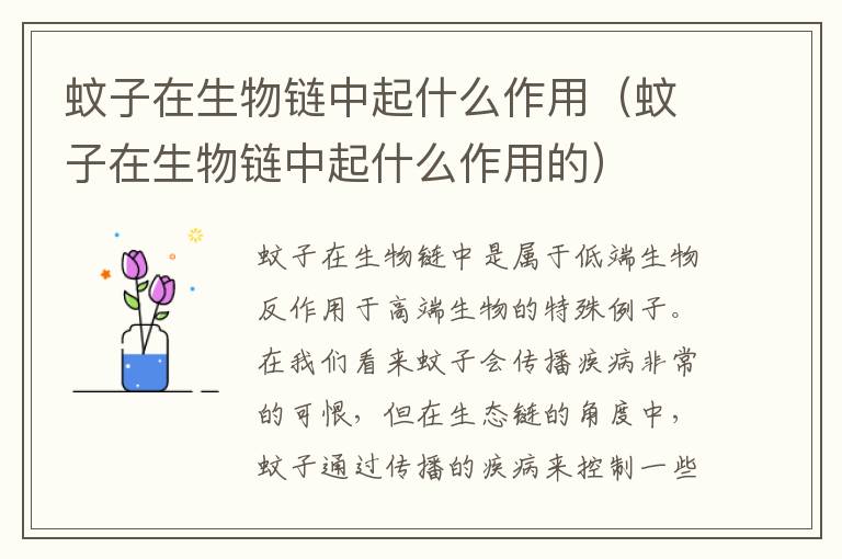 蚊子在生物链中起什么作用 蚊子在生物链中起什么作用的