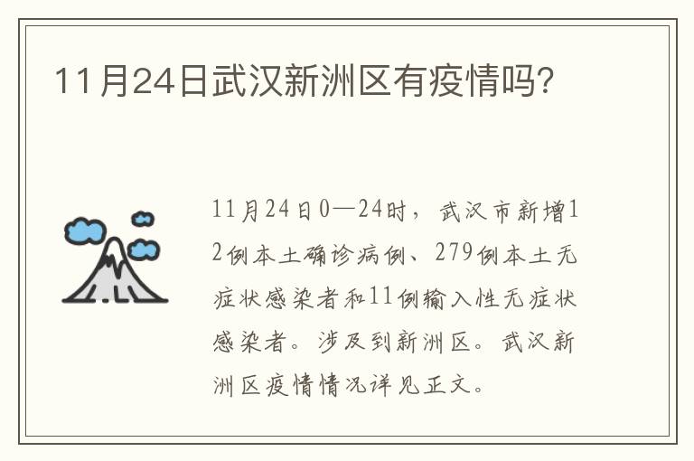 11月24日武汉新洲区有疫情吗？