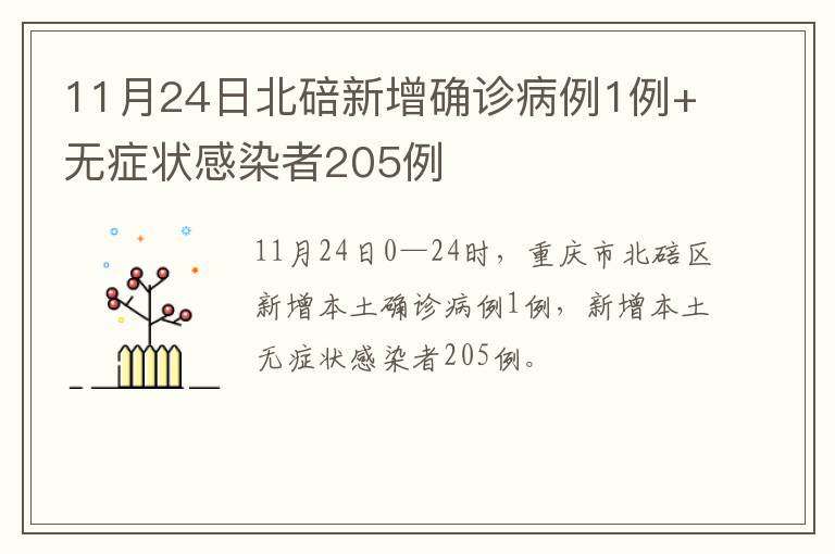 11月24日北碚新增确诊病例1例+无症状感染者205例