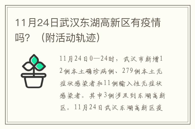 11月24日武汉东湖高新区有疫情吗？（附活动轨迹）