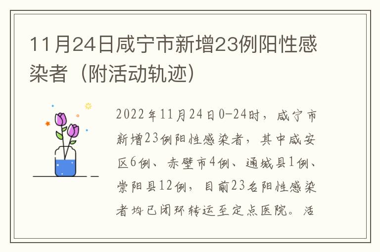 11月24日咸宁市新增23例阳性感染者（附活动轨迹）
