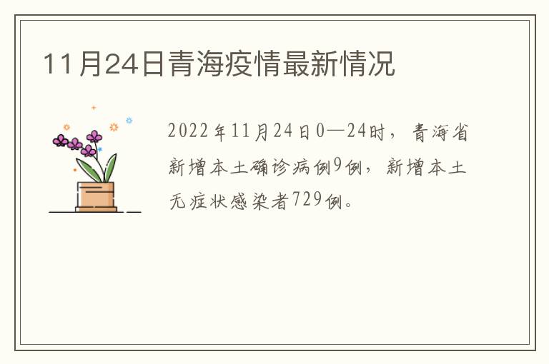 11月24日青海疫情最新情况