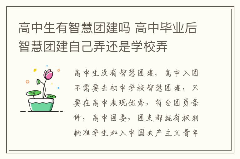 高中生有智慧团建吗 高中毕业后智慧团建自己弄还是学校弄