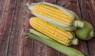嫩玉米应该怎么吃 嫩玉米棒子的吃法