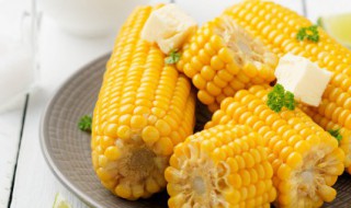 儿童吃的嫩玉米怎么煮熟 煮玉米的小妙招
