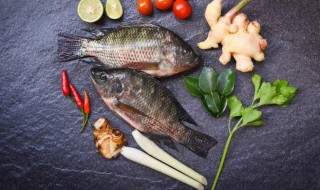 鲤鱼怎么炖好吃又简单方法 炖鲤鱼的做法