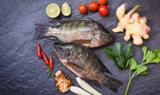 怎样炖鲤鱼好吃又简单方法 怎样炖鲤鱼好吃又简单方便