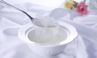 炖燕窝的简单方法 炖燕窝的简单方法推荐