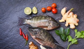 炖红烧鲤鱼的简单方法 炖红烧鲤鱼怎么做