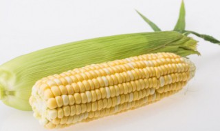 嫩玉米芯怎么吃 清炒嫩玉米芯的做法