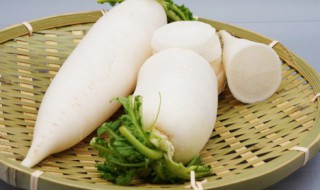 羊肉炖萝卜的简单方法 羊肉炖萝卜的简单方法是什么