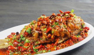 草鱼怎么吃才嫩呢呢 啤酒炖草鱼的做法