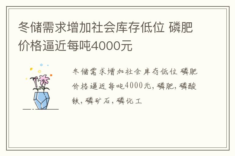 冬储需求增加社会库存低位 磷肥价格逼近每吨4000元