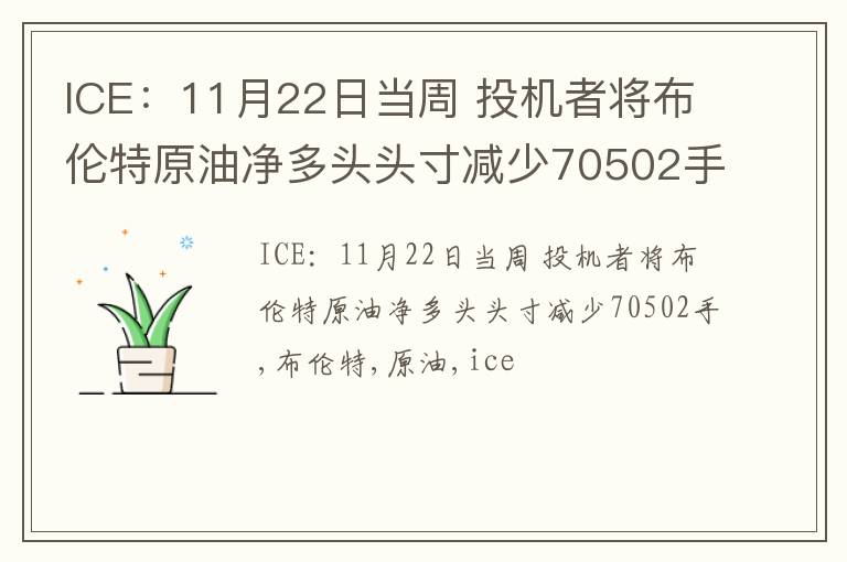 ICE：11月22日当周 投机者将布伦特原油净多头头寸减少70502手