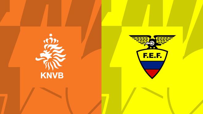 荷兰vs厄瓜多尔首发：范迪克先发 贝尔温加克波出战