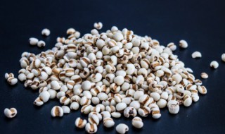 薏米稀饭怎么煮好吃 薏仁稀饭怎么做