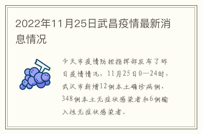 2022年11月25日武昌疫情最新消息情况